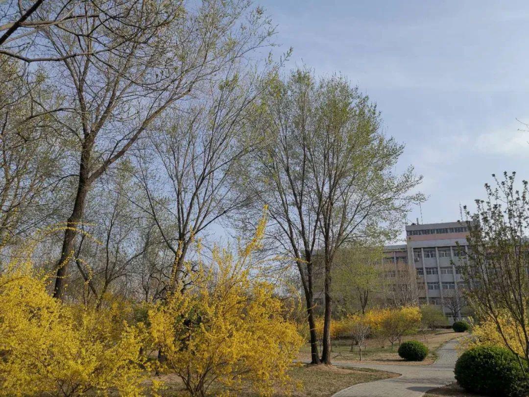 廊坊小巷风情与独特小店探秘