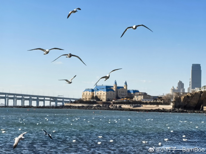 大连盛会，嘉宾云集，观众热情如火
